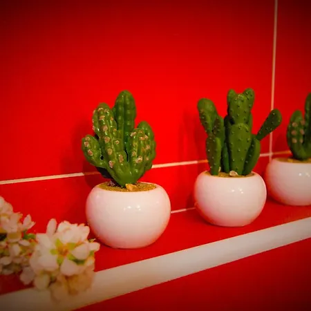 维迪里卡公寓 斯普利特