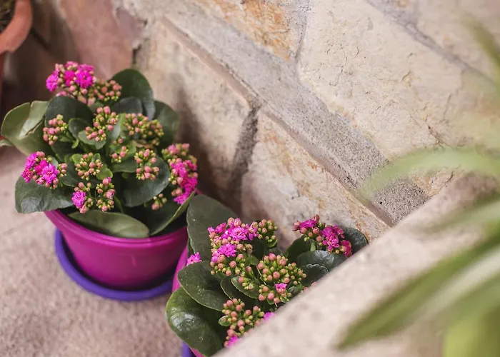 公寓 维迪里卡公寓 *