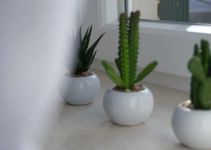 维迪里卡公寓 * 斯普利特