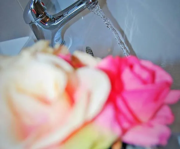 维迪里卡公寓 斯普利特