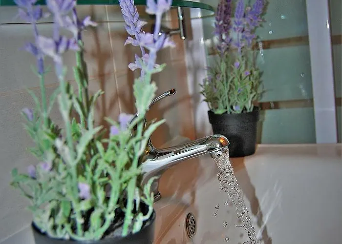 维迪里卡公寓 公寓