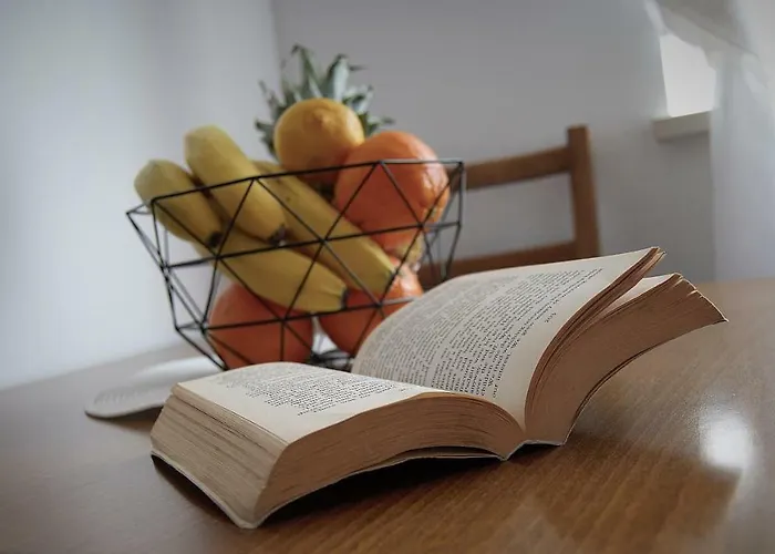 维迪里卡公寓 公寓