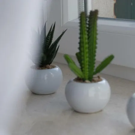 Vidilica * ספליט