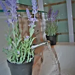 Vidilica Appartement